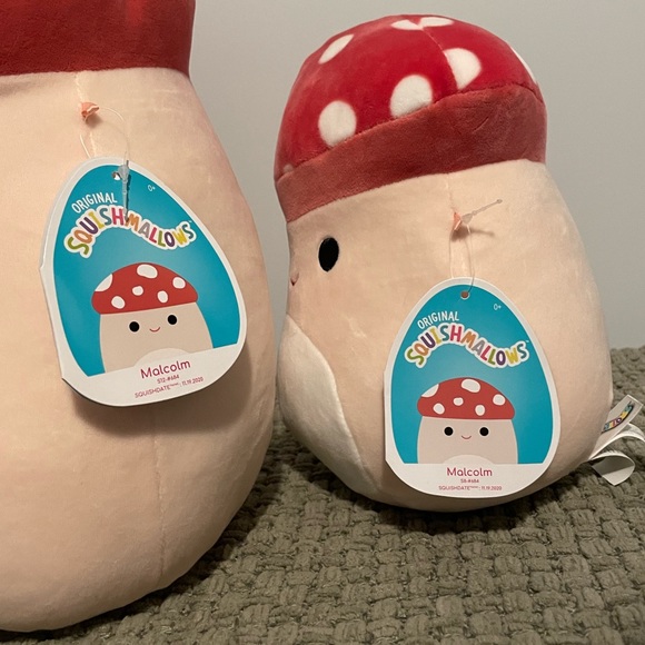 Malcom Squishmallow Bundle - Picture 3 of 4